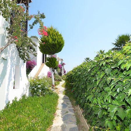 Salinas Beach Hotel Bodrum-Boutique Concept Gümbet Eksteriør bilde