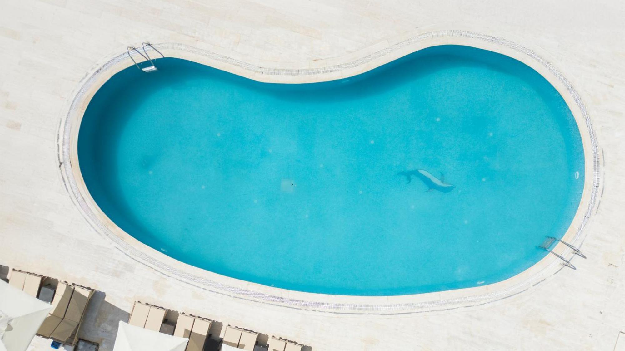 Salinas Beach Hotel Bodrum-Boutique Concept Gümbet Eksteriør bilde