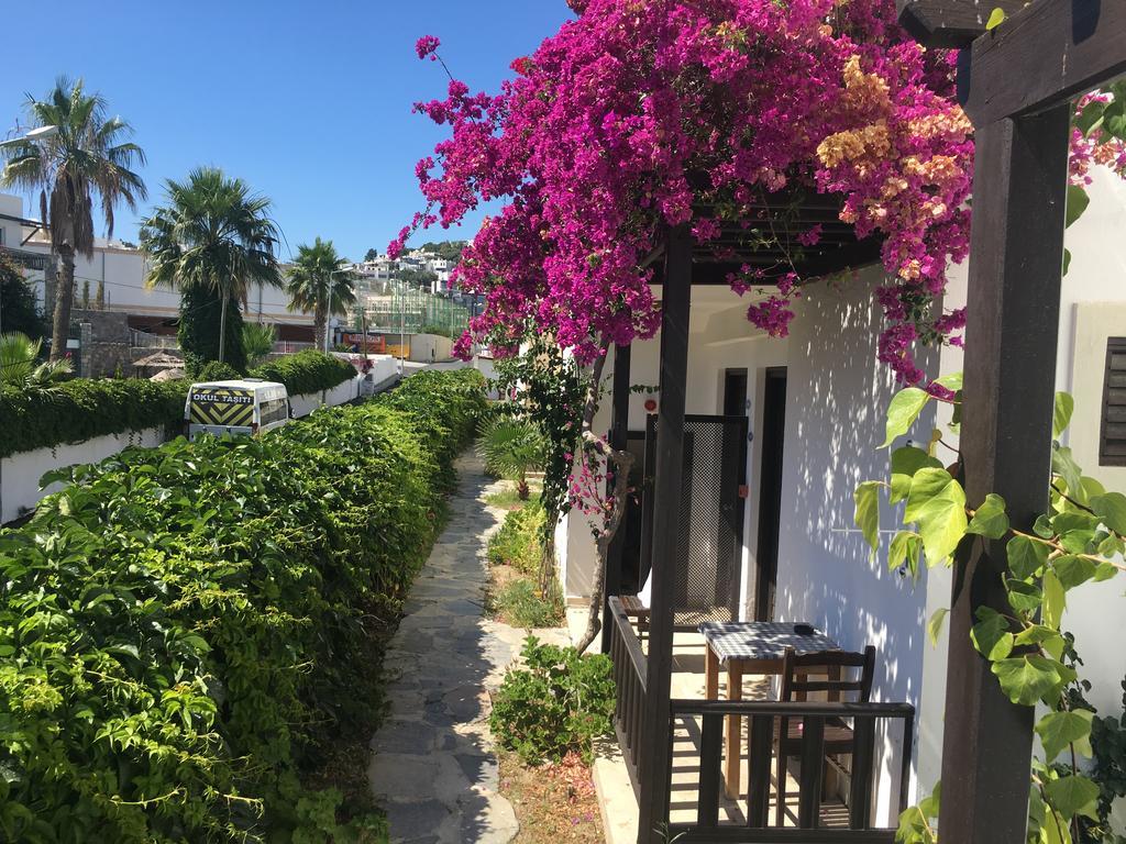 Salinas Beach Hotel Bodrum-Boutique Concept Gümbet Eksteriør bilde