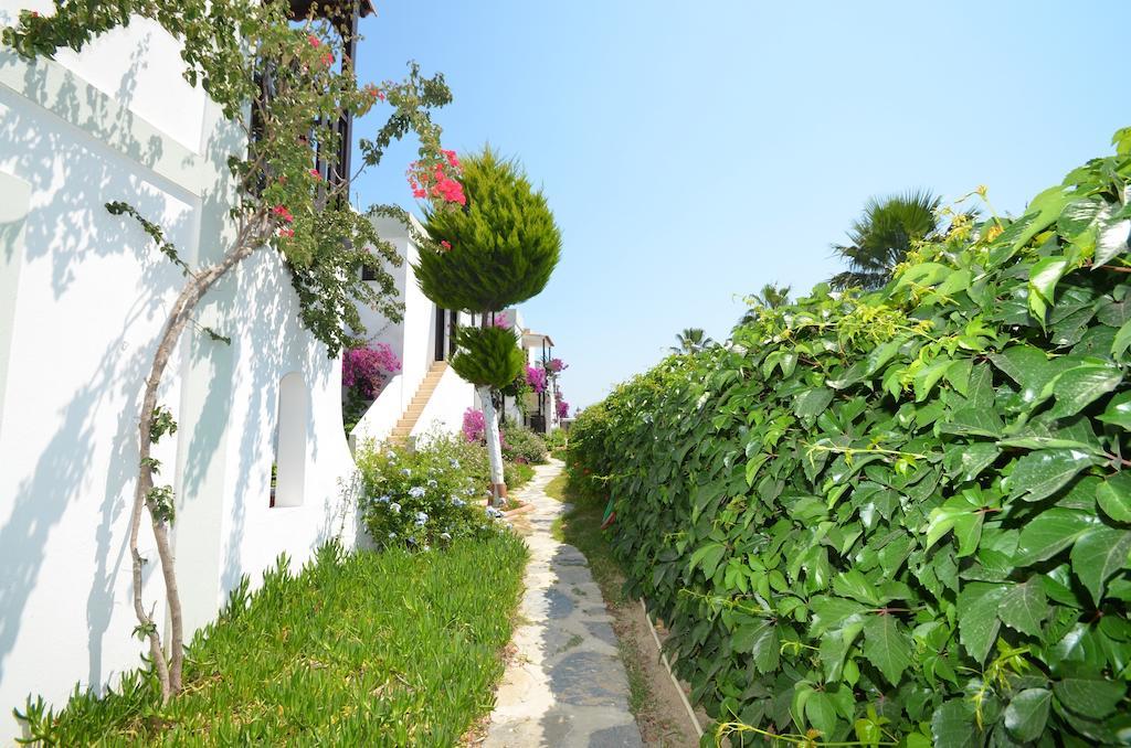Salinas Beach Hotel Bodrum-Boutique Concept Gümbet Eksteriør bilde